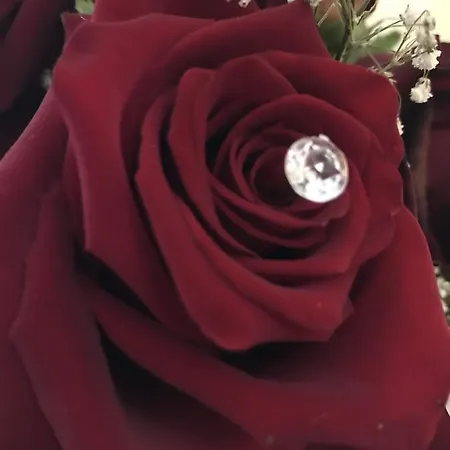 Lady Rose Отель типа 